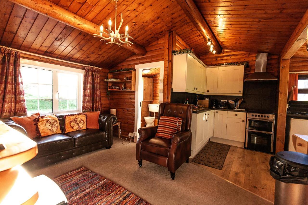 Stunning Log Cabin With Garden In Snowdonia - Hosted By Seren Short Stays Trawsfynydd Экстерьер фото