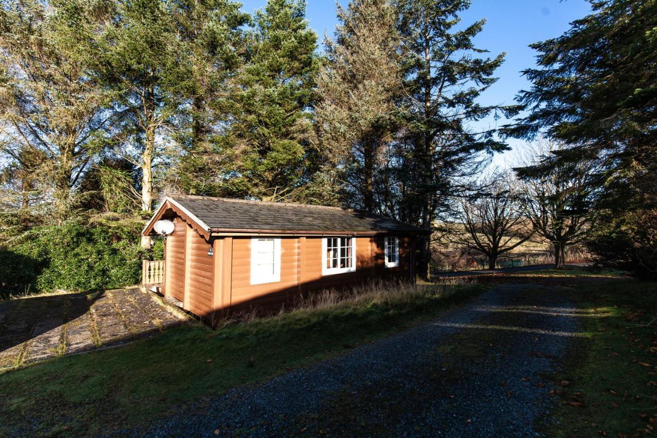Stunning Log Cabin With Garden In Snowdonia - Hosted By Seren Short Stays Trawsfynydd Экстерьер фото